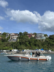 tronqued boat near an island resort